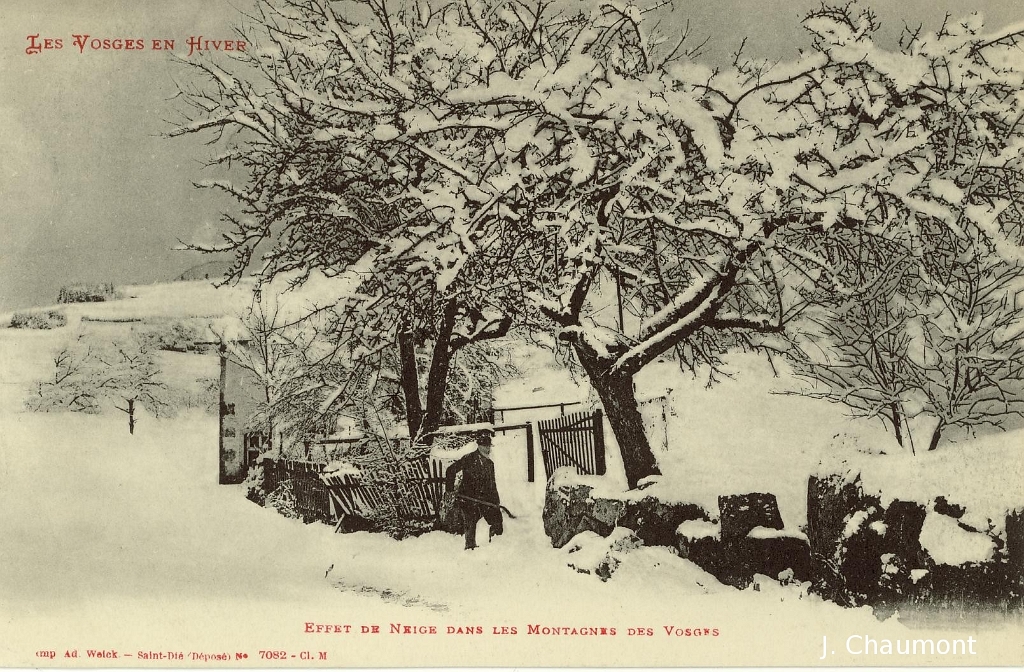 Les Vosges en Hiver - Effet de Neige dans les Montagnes des Vosges.jpg