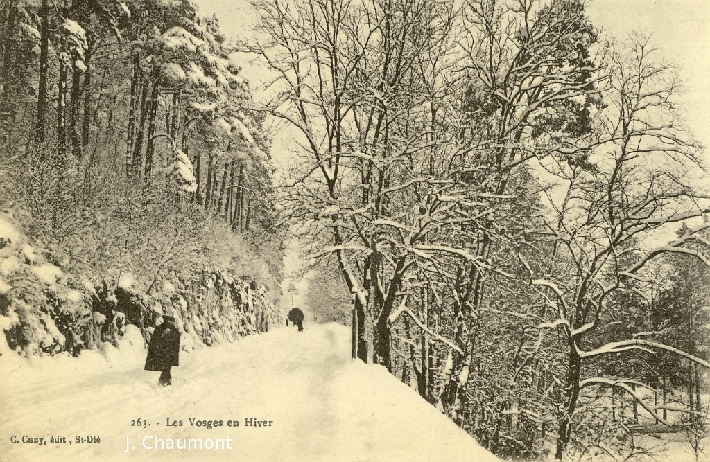 Les Vosges en hiver.JPG