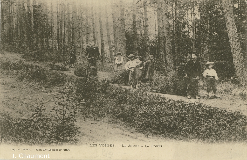 Les Vosges. - Le Jeudi à la Forêt.jpg