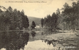 Environs de Plombières. - Etang Domanial de l'Abbaye d'Hérival