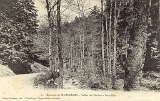 Environs de Plombières. - Vallée des Roches - Sous Bois