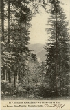 Environs de Plombières. - Vue sur la Vallée du Breuil