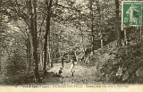 Val-d'Ajol - Feuillée Nouvelle - Chemin sous bois vers le Val-d'Ajol