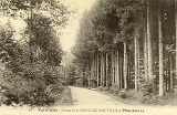 Val-d'Ajol - Route de la Feuillée Nouvelle à Plombières