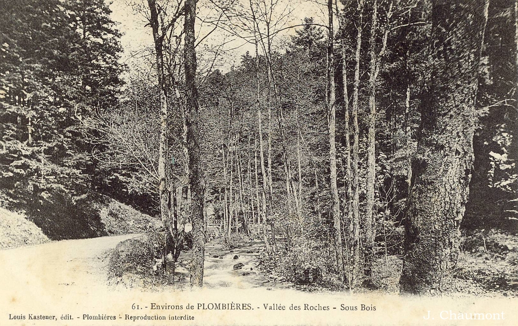 Environs de Plombières. - Vallée des Roches - Sous Bois.JPG