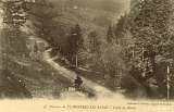 Environs de Plombières-les-Bains - Vallée des Roches
