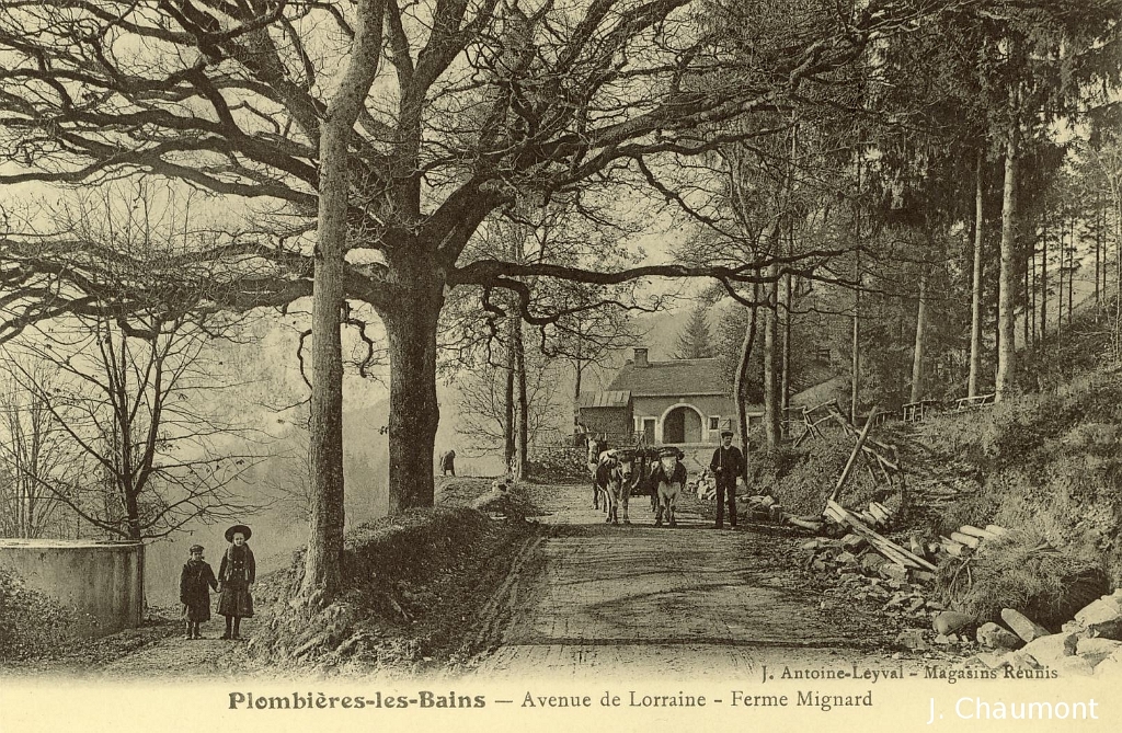 Plombières-les-Bains - Avenue de Lorraine - Ferme Mignard.JPG