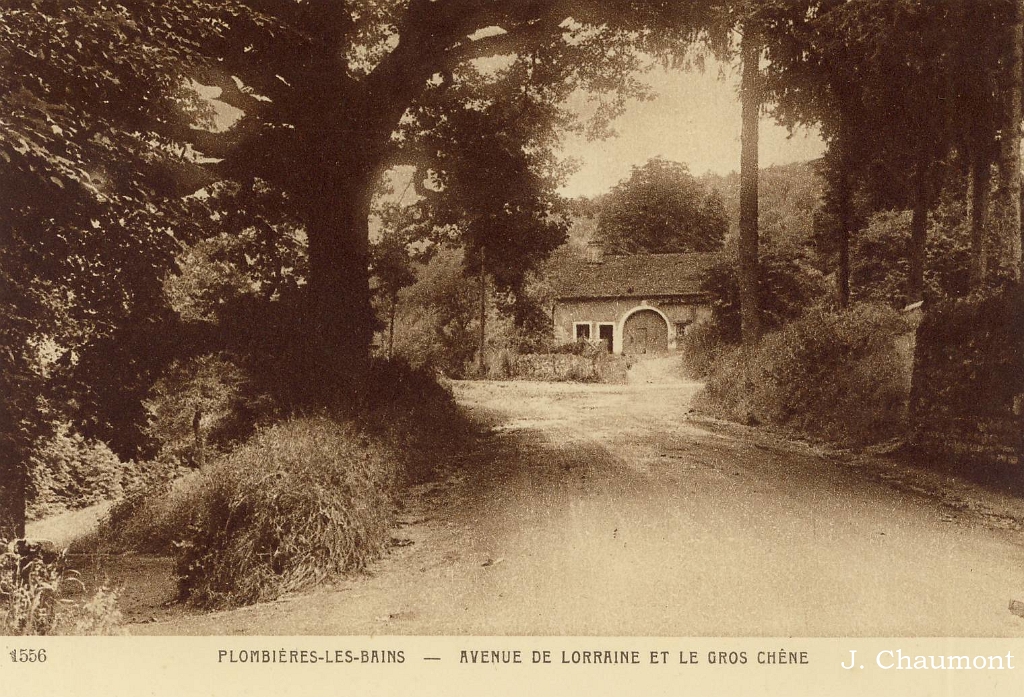 Plombières-les-Bains - Avenue de Lorraine et le Gros Chêne.jpg