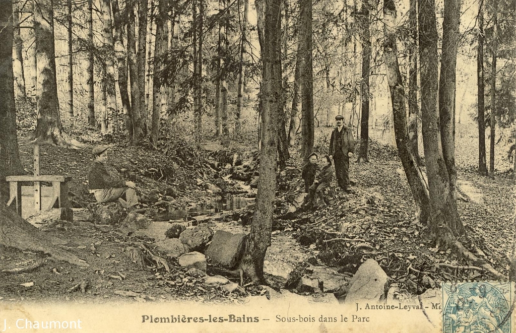 Plombières-les-Bains - Sous-bois dans le Parc.jpg