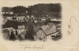 Plombières-les-Bains. - Le Côteau de la Vierge en 1901
