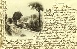 Plombières. - Avenue de la Gare vers 1900