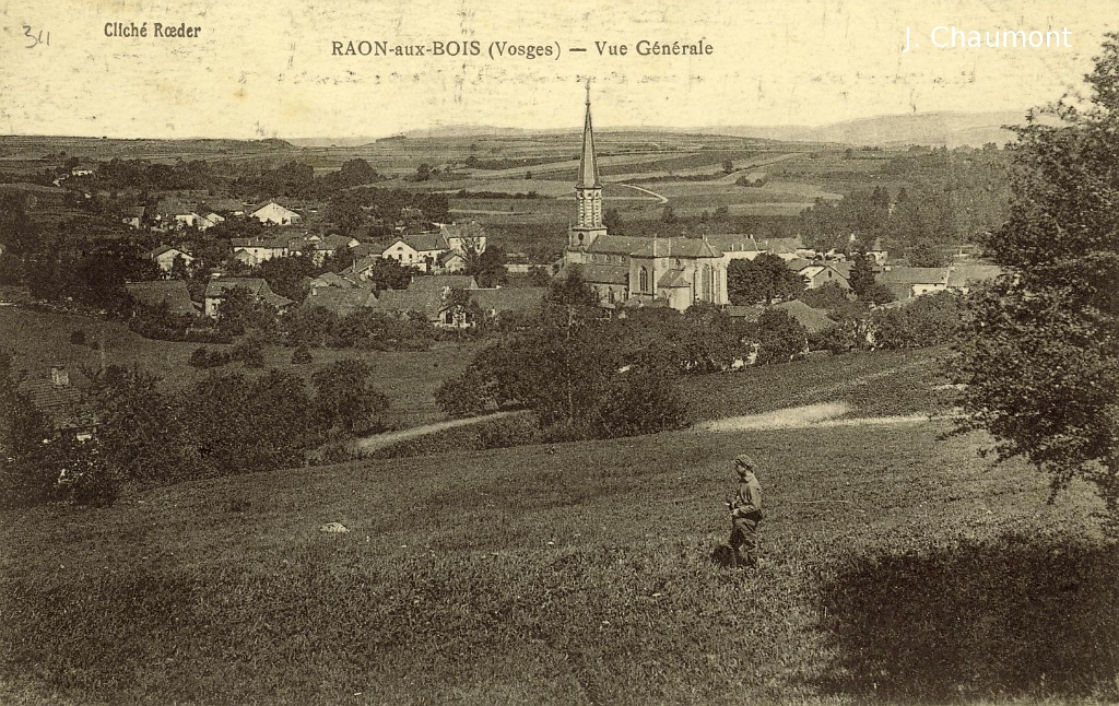 Raon-aux-Bois - Vue Générale.JPG