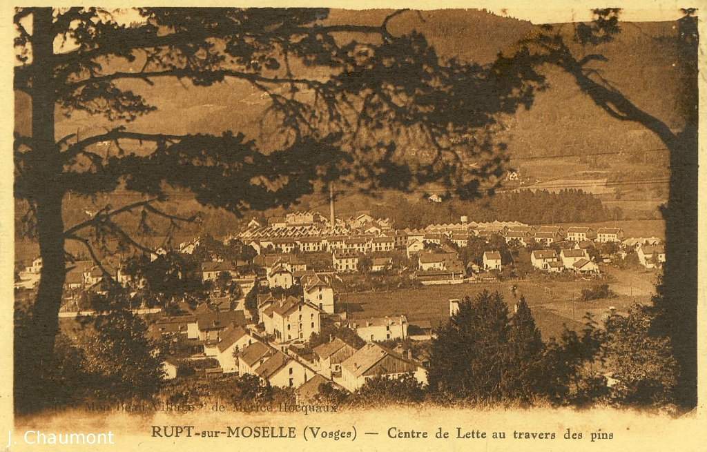 Rupt-sur-Moselle - Centre de Lette au travers des pins.JPG