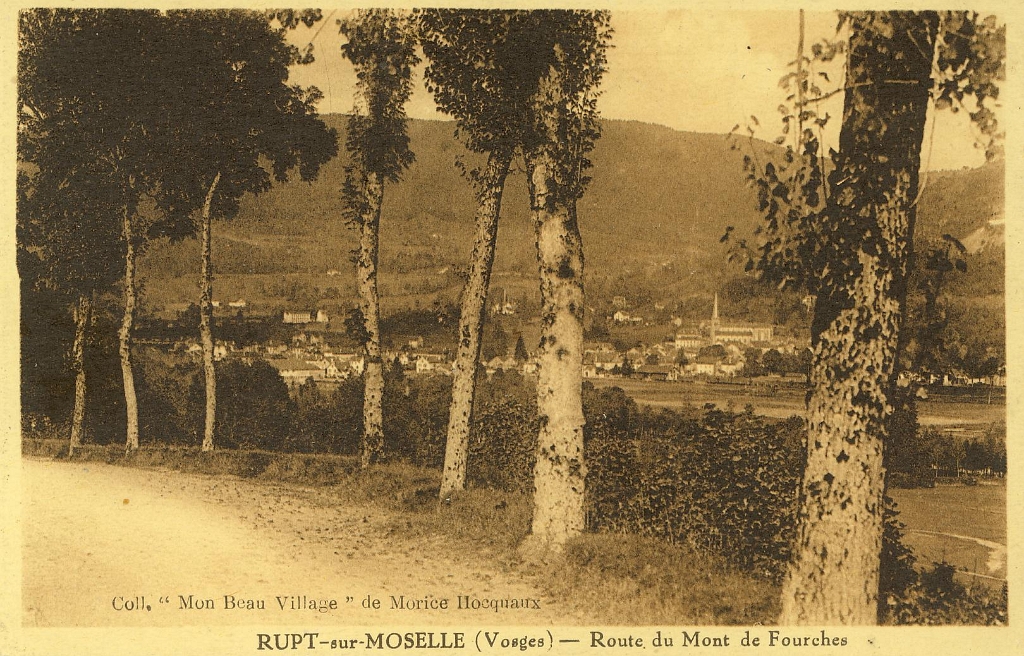 Rupt-sur-Moselle - Route du Mont de Fourches.JPG