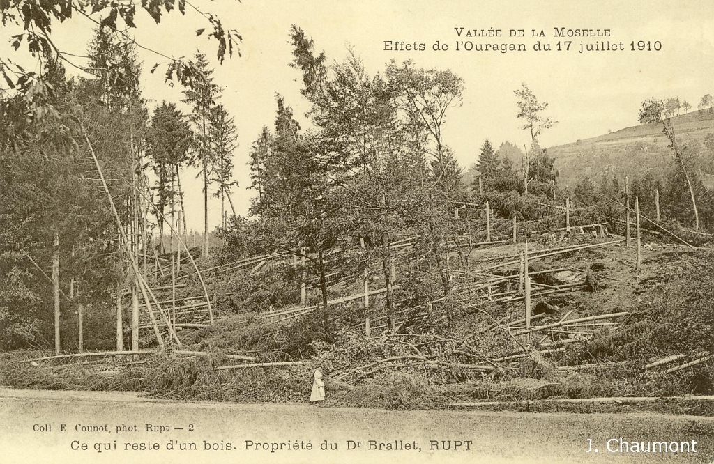 Vallée de la Moselle. - Effets de  l'Ouragan du 17 juillet 1910. - Ce qui reste d'un bois. Propriété du Dr Brallet, RUPT.JPG