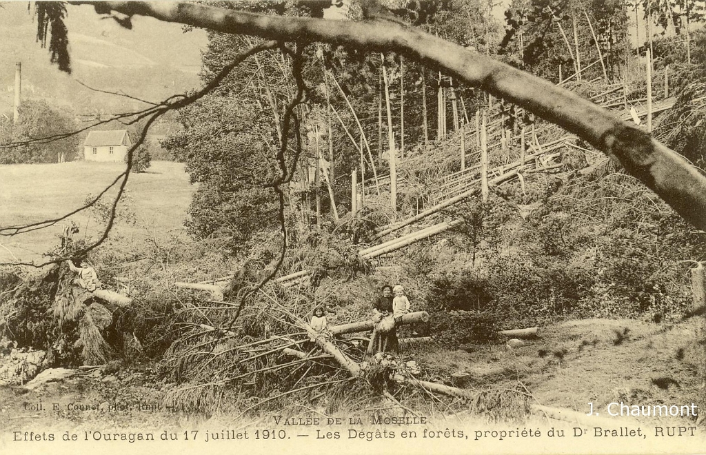 Vallée de la Moselle. - Effets de  l'Ouragan du 17 juillet 1910. - Les Dégâts en forêts, propriété du Dr Brallet, RUPT.JPG