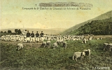 St-Etienne - Remiremont. - Compagnie du 5e Bataillon de Chasseurs sur le terrain de Manoeuvres