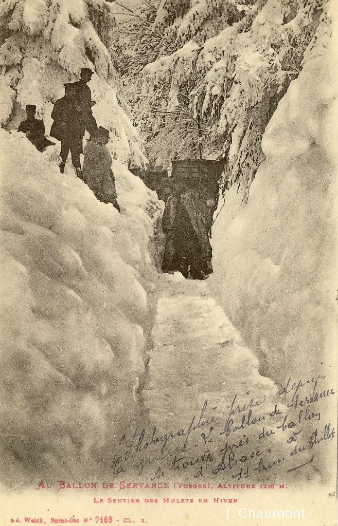Au Ballon de Servance, Altitude 1210 m. - Le Sentier des Mulets en hiver.JPG
